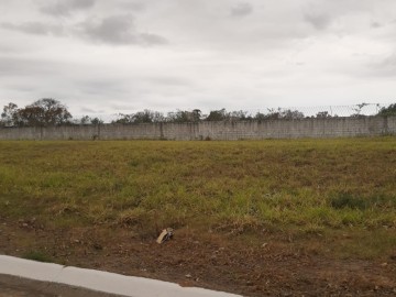 Terreno em Condomínio - Venda - Quiririm - Taubate - SP