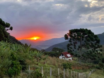 Sítio - Venda - Cantagalo - São Bento do Sapucaí - SP